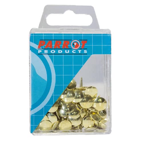 DRAWING PINS BRASS PACK 100