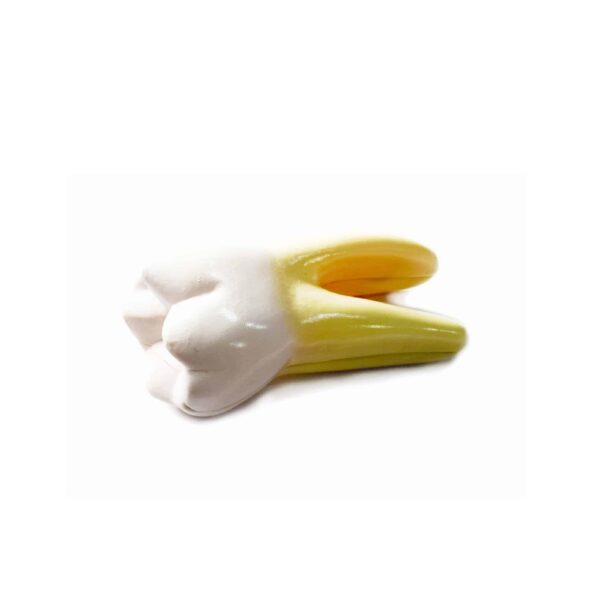 Model 3 Tooth Large 403