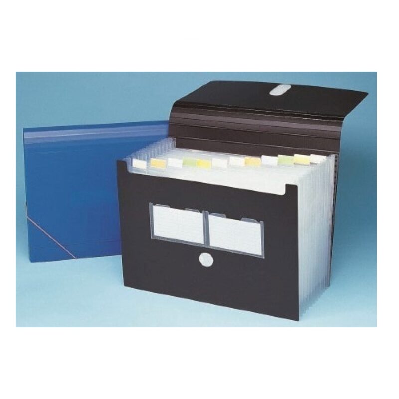 Bantex A4, PP Expanding File - 13 partitions.