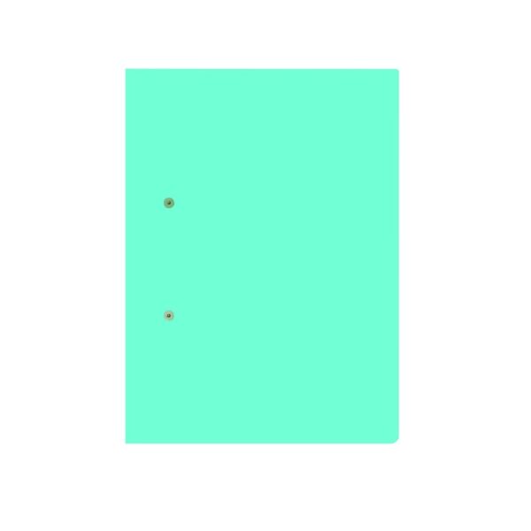 Foolscap Accessible Files (320g)