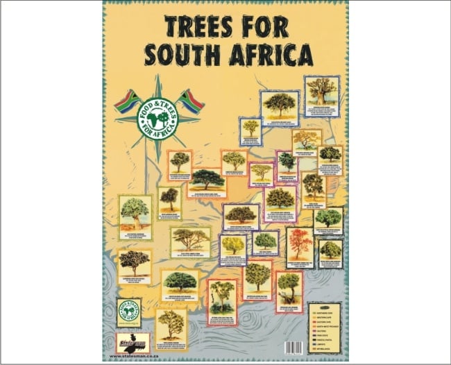 Trees of South Africa Educational Posters