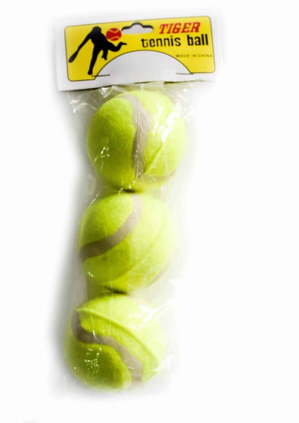 Tennis Balls 3 Pack Budget Type for School Use Only