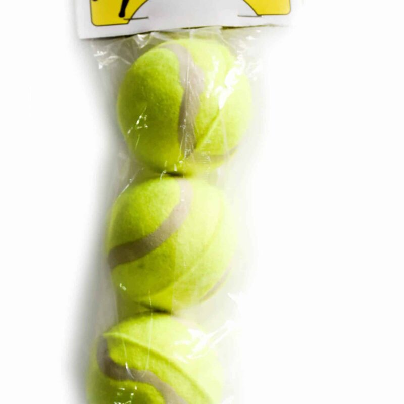 Tennis Balls 3 Pack Budget Type for School Use Only