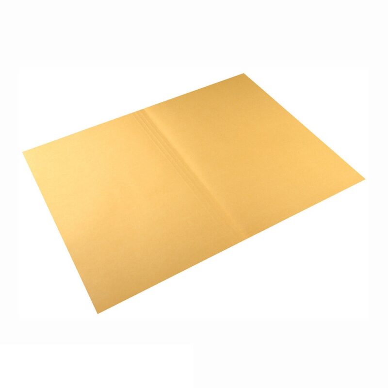 Manilla Folder (100 )Donau Buff