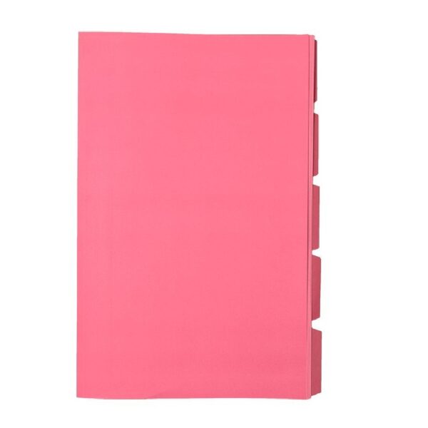 Folders 5-Cut & Scored (100) Pink