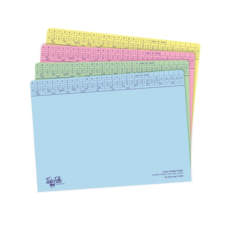 Tidy Files - Medium Weight Colour File + Tri-Clip Pk-25