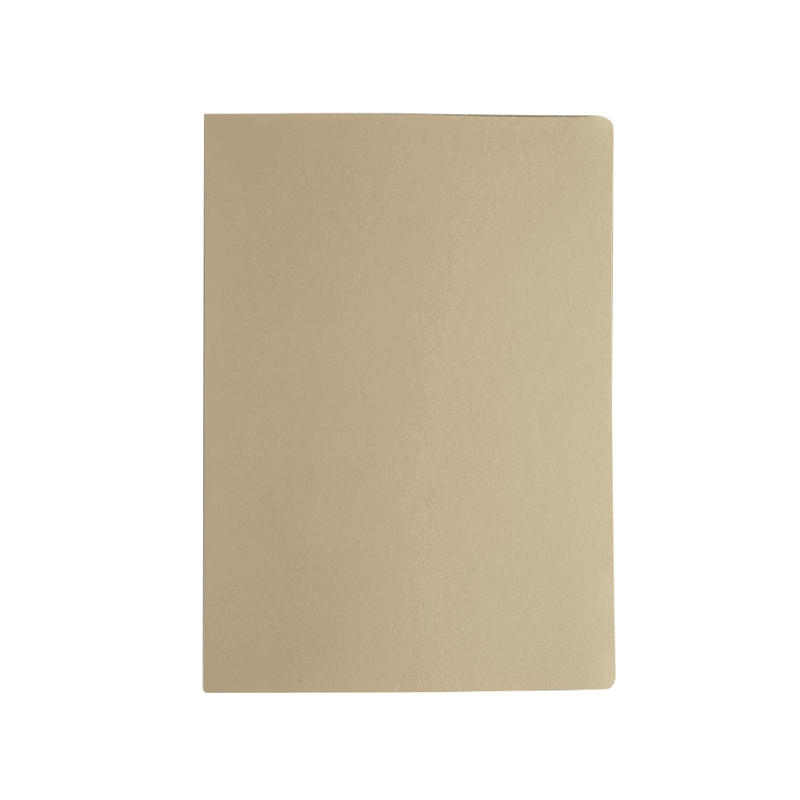 Tidy Files - A5 Light Weight File Pack
  Of 25