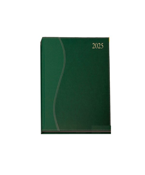A5 Diary Page A Day Executive SS 2026 GREEN
