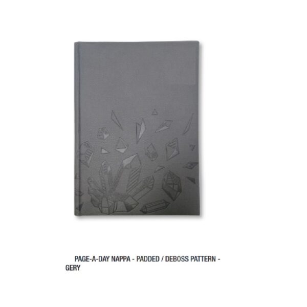 A5 Diary Page A Day Nappa  2026 Grey
