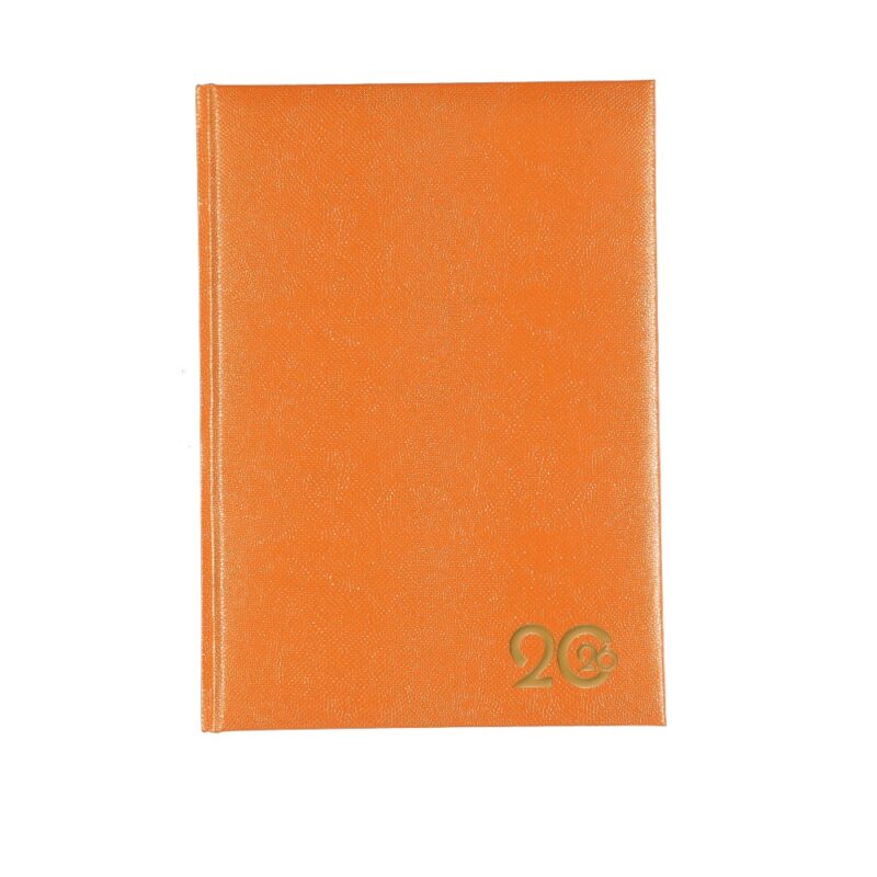 A5 Diary Page A Day Lizzard 2026 Orange